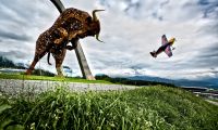 Red Bull Air Race 2014 Spielberg (c) Mirja Geh Red Bull Content Pool.