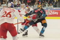 Dennis Robertson (EC RBS) Und Nico Feldner (Black Wings) (c) GEPA pictures Mandl