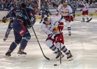 Bence Stipsicz (Alba Volan) und Dustin Gazley (EC RBS) (c) GEPA Osterauer.jpg