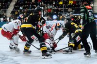 Lucas Thaler (c) Fabian Weirather - EC Red Bull Salzburg