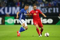 Alessandro Schoepf (Schalke) und Andreas Ulmer (RBS) (c) GEPA pictures Felix Roittner .jpg